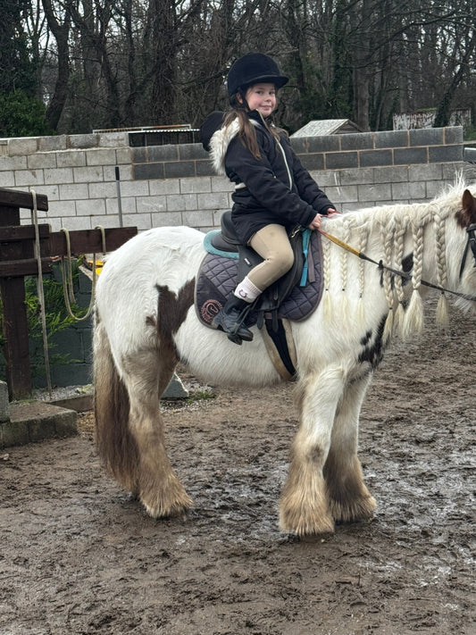 💕Life Behind Prams - family moments